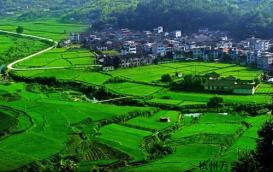 麗水青田仁川鎮(zhèn)
