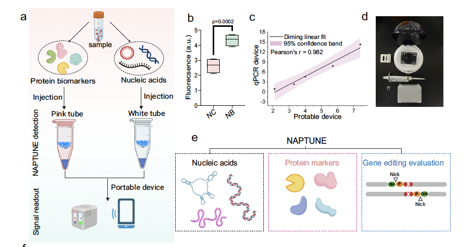 Screenshot 2025-12-09 at 8.46.19 AM.png