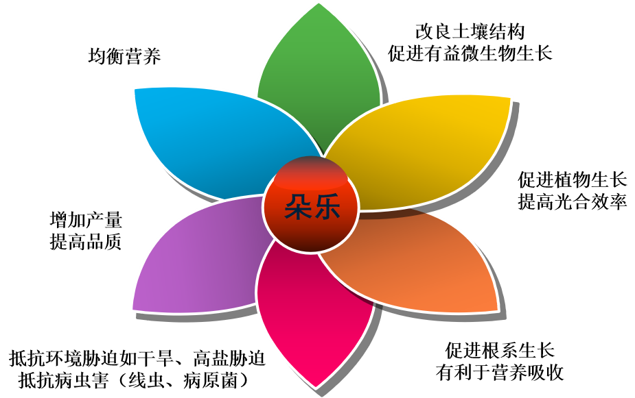 640 (1).png