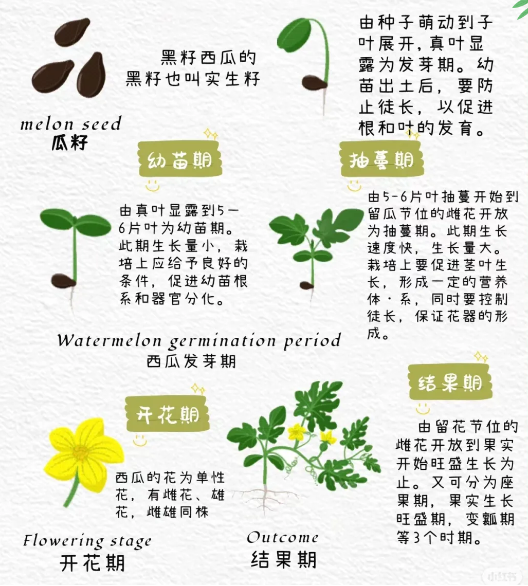 59F09CA9-55CE-43bc-B5BE-BB18C3242ED3.png