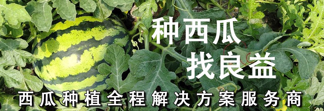 1749085058585046.jpg 公众号.jpg